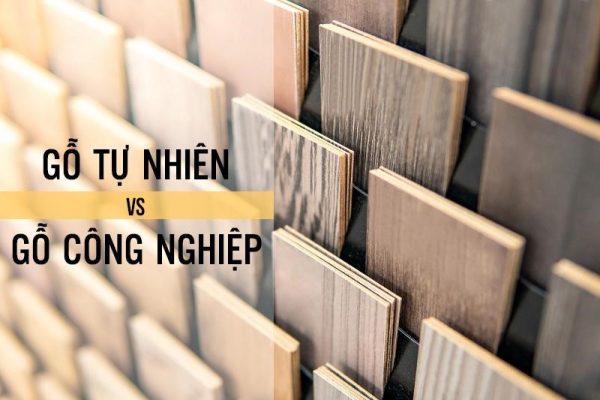 Nội thất chung cư nên làm gỗ gì đẹp và bền nhất 2024?