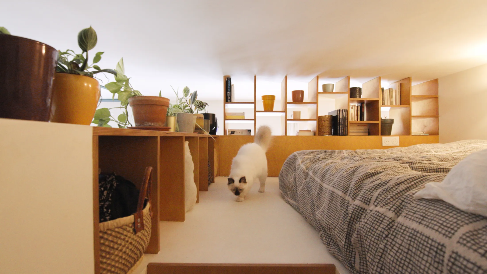 thiet ke noi that chung cu hien dai 2 99165 Ưu tiên sử dụng những mẫu nội thất phù hợp